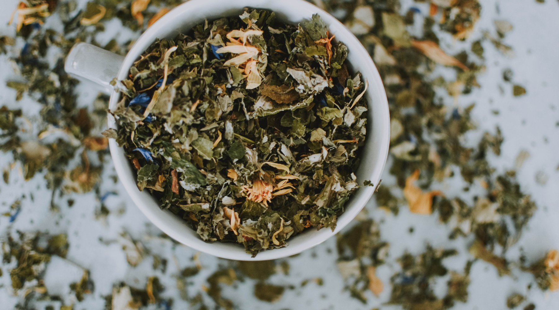Beginner's Guide to Working with Herbs