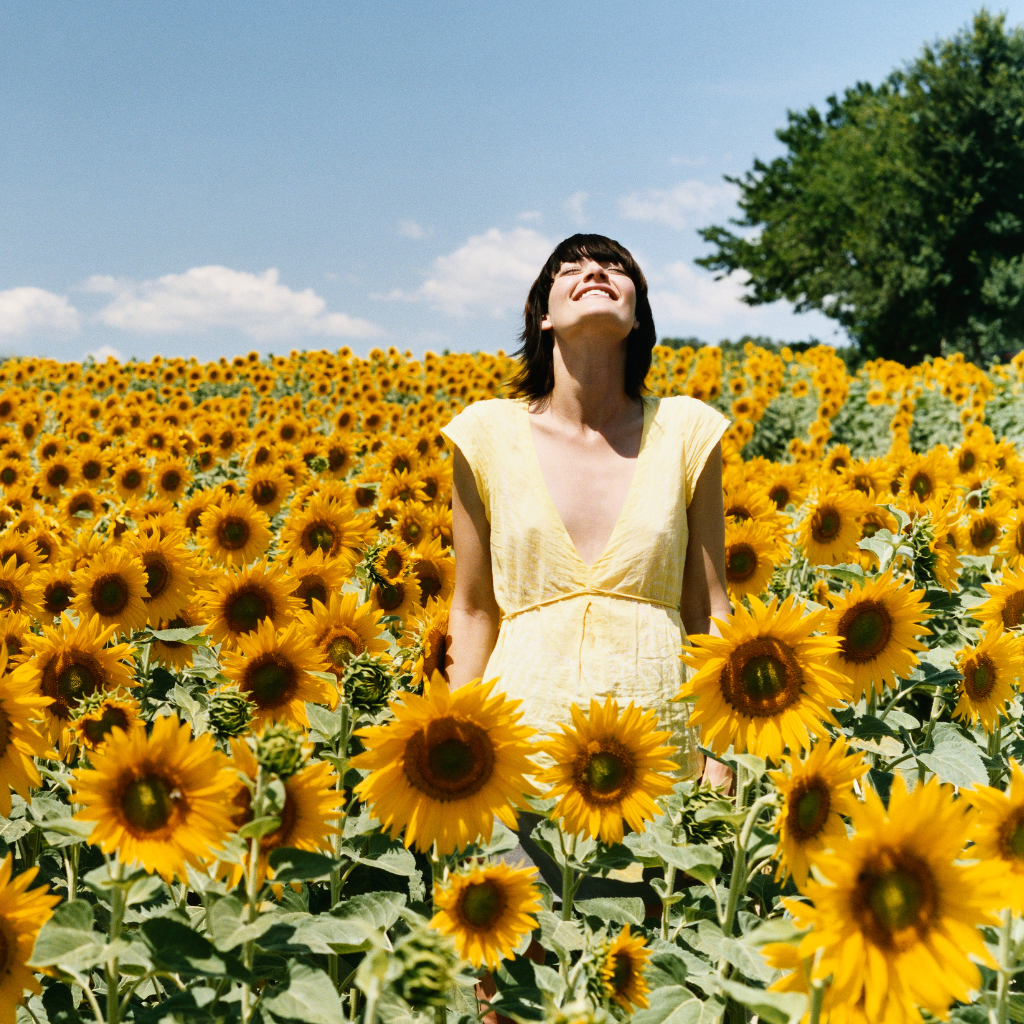 Manifestation and Abundance