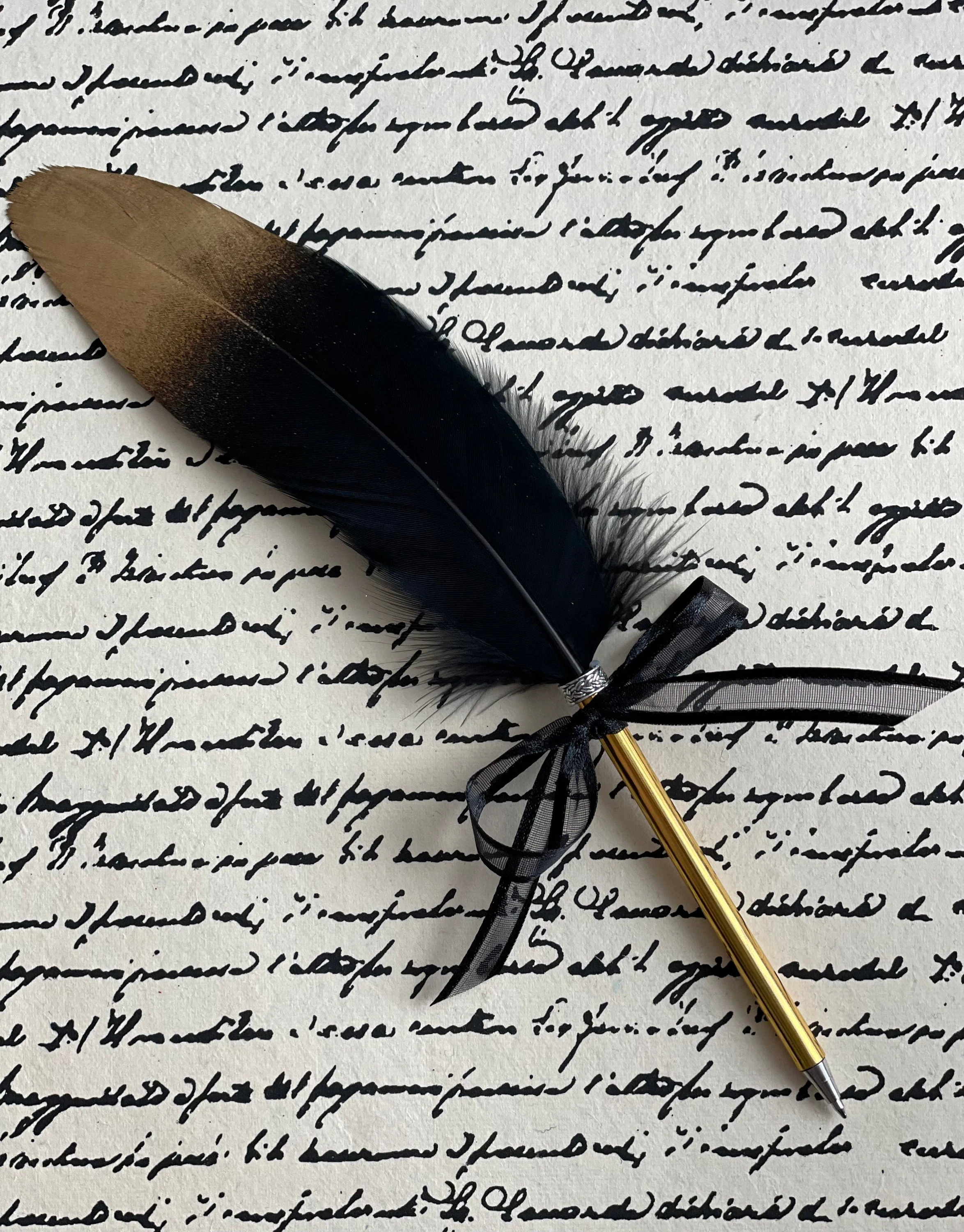 Black Feather Quill Pen
