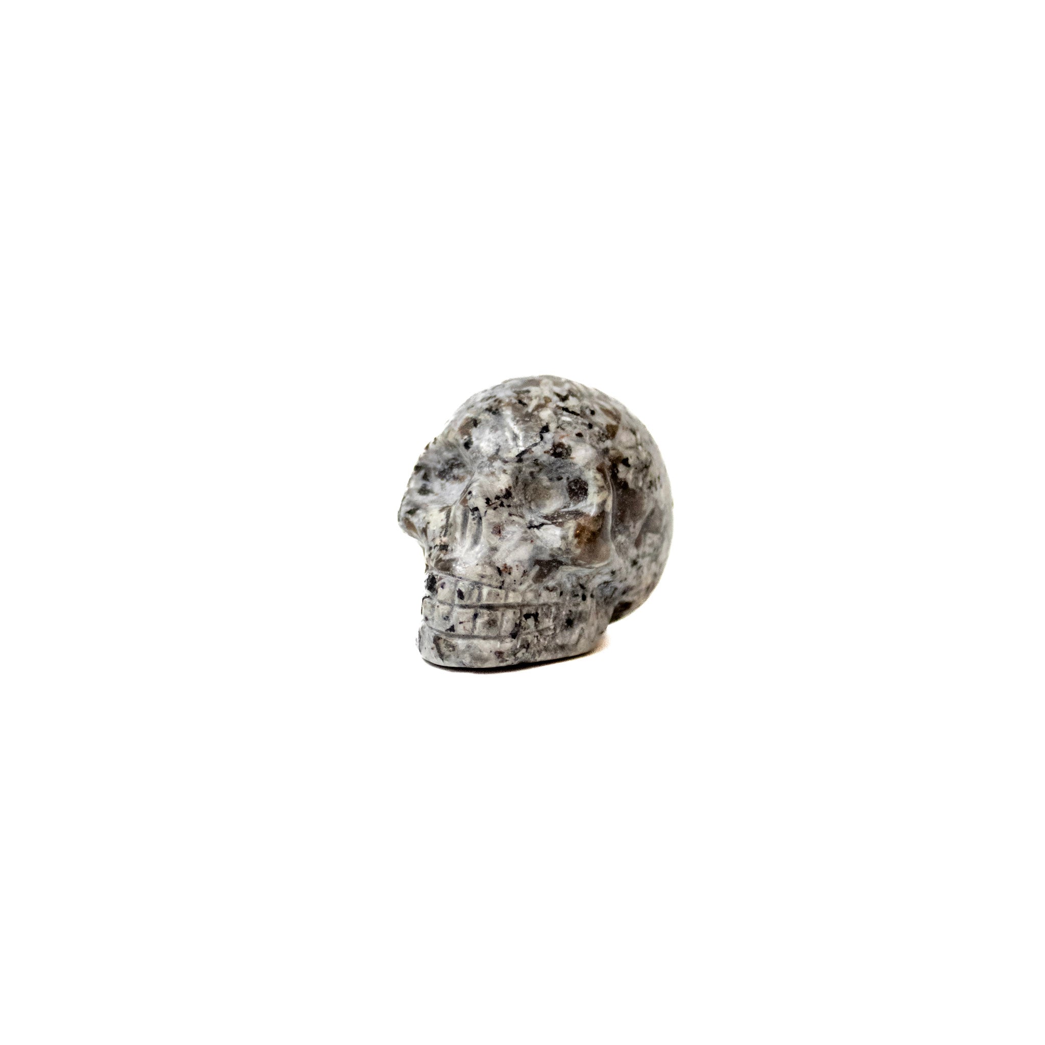 Yooperlite Skull
