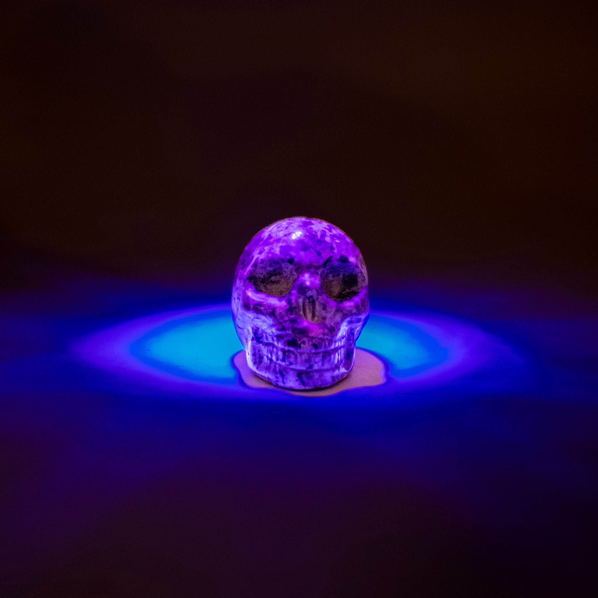 Yooperlite Skull