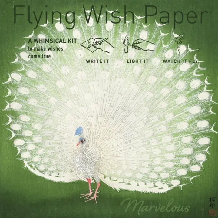 Flying Wish Paper Kit
