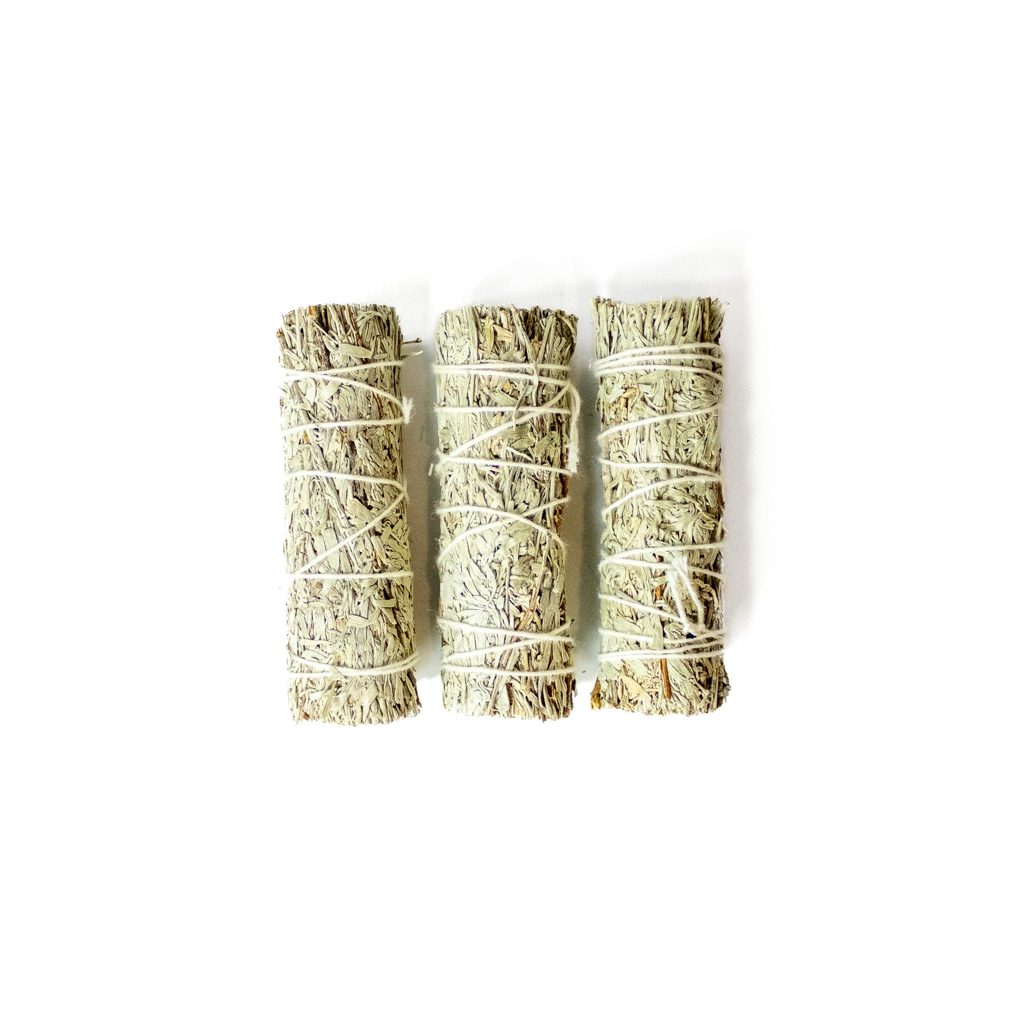 Blue Sage Bundle
