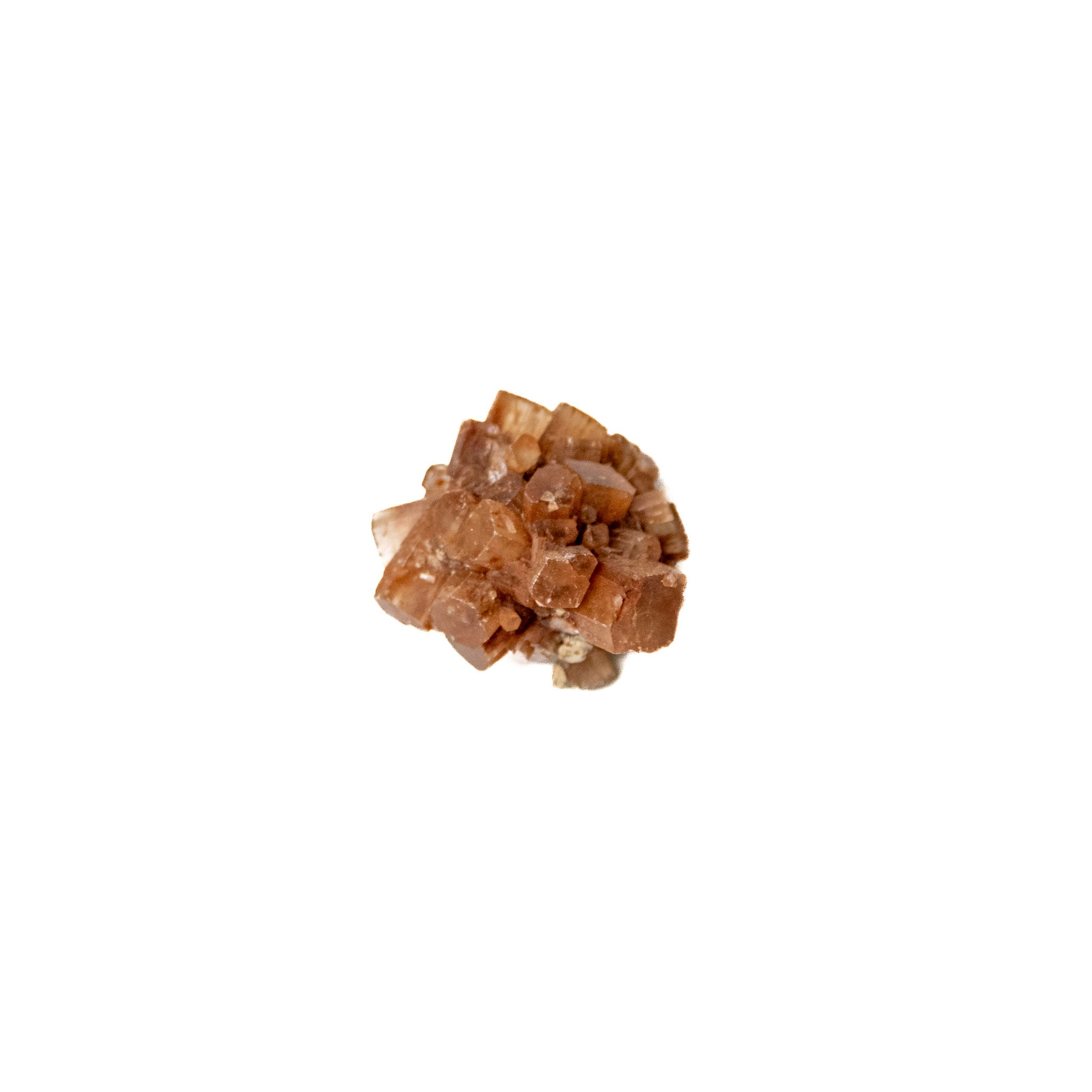 Star Aragonite | Specimen