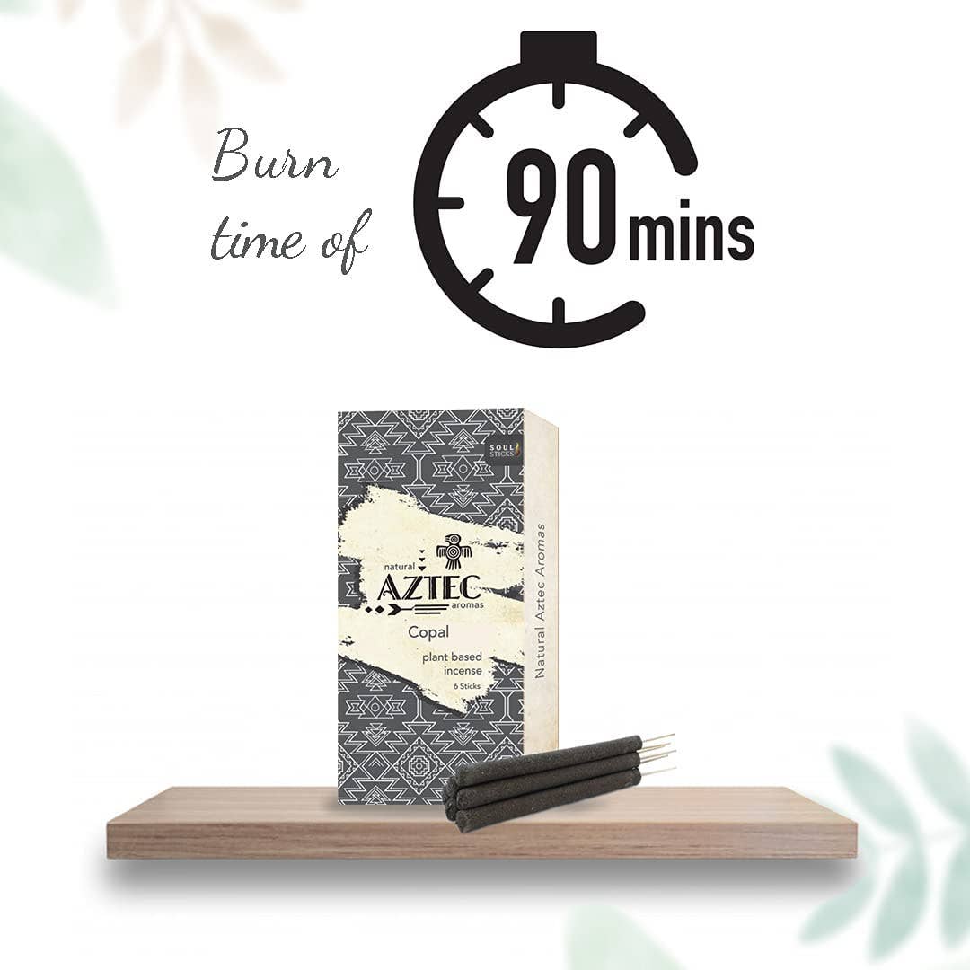 AZTEC Plant Based Incense Sticks