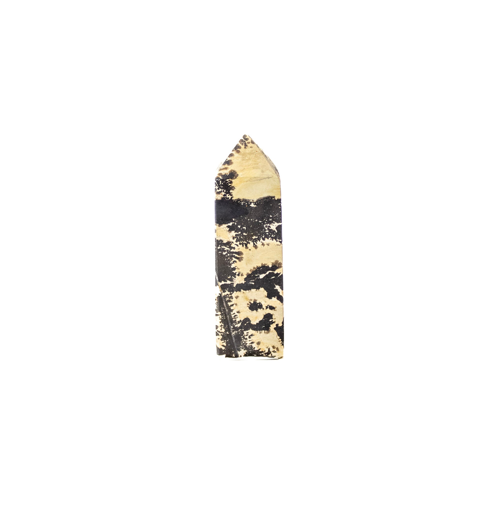 Dendritic Jasper | Generator Tower