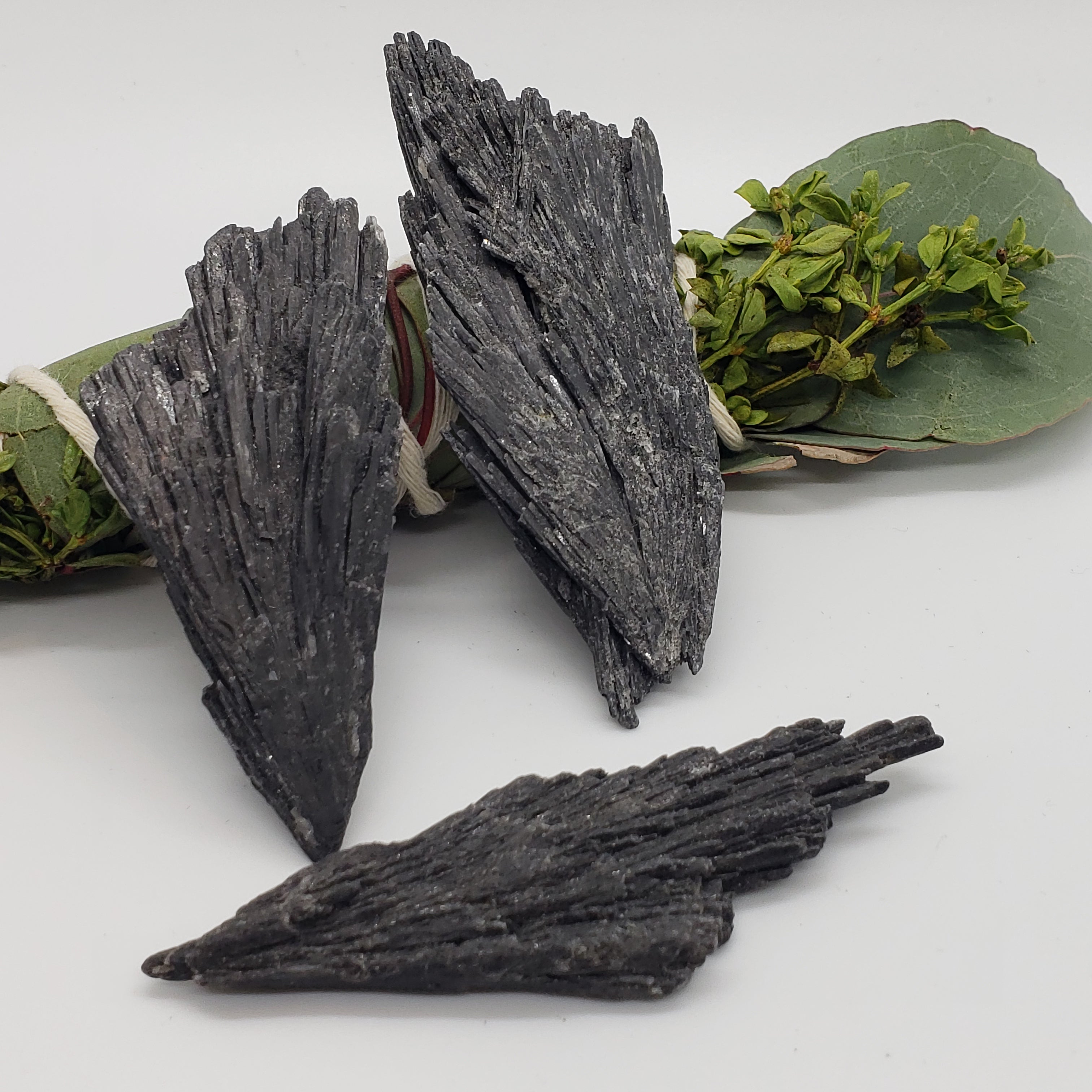 Three pieces of raw black kyanite in the "Witch's Broom" shape. There is an herbal bundle behind them on a white background.